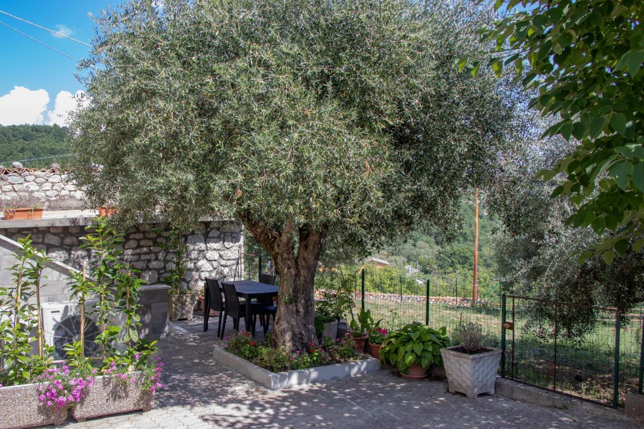 Ferienwohnung Casa Degli Ulivi Con Parcheggio Privato Muro Lucano Exterior foto